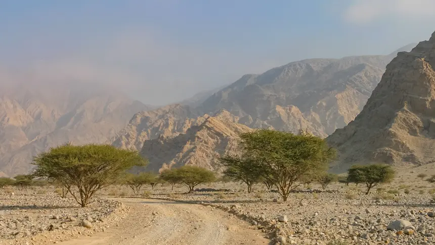 Wadi Ras Al-Khaimah